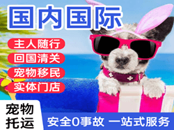 哈密伊州机场物流国际宠物托运 【国